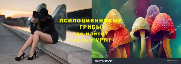 тгк Аркадак
