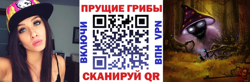 Галлюциногенные грибы MAGIC MUSHROOMS Купить где Болохово